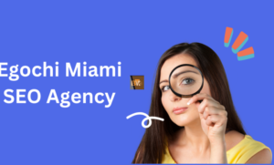 egochi miami seo agency